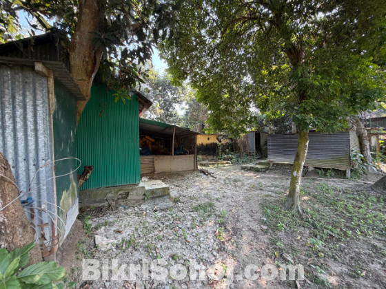 ১৩ শতক রেডি প্লট জমি